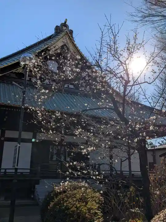 妙法寺(東京都)