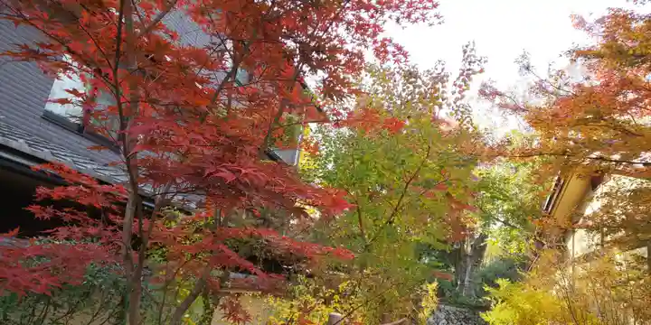 梨木神社の庭園