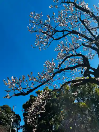芝東照宮の{uncategorized: "未分類", other: "その他", undefined: "問題あり", building: "その他建物", grave: "お墓", sacred_gate: "鳥居", guardian: "狛犬", statue: "像", buddha: "仏像", history: "歴史", nature: "自然", garden: "庭園", animal: "動物", pagoda: "塔", temizu: "手水舎", mountain_gate: "山門・神門", sanctuary: "本殿・本堂", subordinate: "末社・摂社", art: "芸術", scenery: "景色", jizo: "地蔵", ema: "絵馬", goshuin: "御朱印", omikuji: "おみくじ", items: "授与品その他", amulet: "お守り", goshuincho: "御朱印帳", eats: "食事", festival: "お祭り", votive_dance: "神楽", shichigosan: "七五三参", wedding: "結婚式", experience: "体験その他", initially: "初詣", around: "周辺", anti_infection: "感染症対策"}