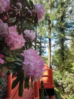 岡寺（龍蓋寺）の{uncategorized: "未分類", other: "その他", undefined: "問題あり", building: "その他建物", grave: "お墓", sacred_gate: "鳥居", guardian: "狛犬", statue: "像", buddha: "仏像", history: "歴史", nature: "自然", garden: "庭園", animal: "動物", pagoda: "塔", temizu: "手水舎", mountain_gate: "山門・神門", sanctuary: "本殿・本堂", subordinate: "末社・摂社", art: "芸術", scenery: "景色", jizo: "地蔵", ema: "絵馬", goshuin: "御朱印", omikuji: "おみくじ", items: "授与品その他", amulet: "お守り", goshuincho: "御朱印帳", eats: "食事", festival: "お祭り", votive_dance: "神楽", shichigosan: "七五三参", wedding: "結婚式", experience: "体験その他", initially: "初詣", around: "周辺", anti_infection: "感染症対策"}