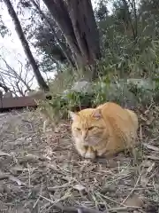 村雲御所瑞龍寺門跡の動物