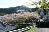 南法華寺(壷阪寺)(奈良県)