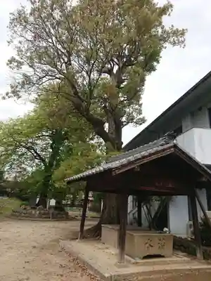 小口神社(城屋敷)の手水舎
