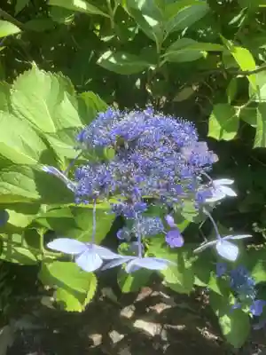 禅徳寺(岐阜県)