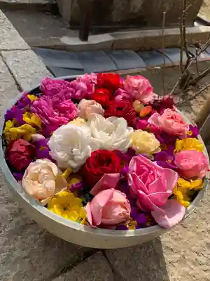 おふさ観音（観音寺）(奈良県)