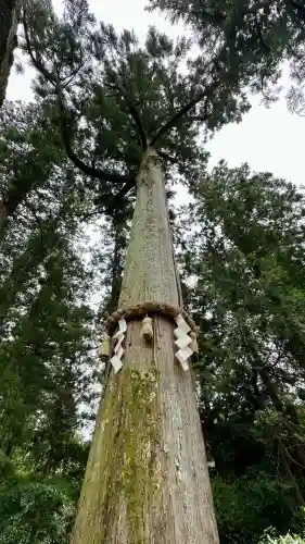 高鴨神社(奈良県)