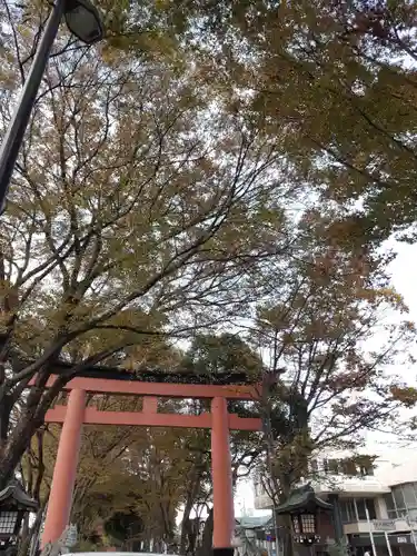 武蔵一宮氷川神社の鳥居