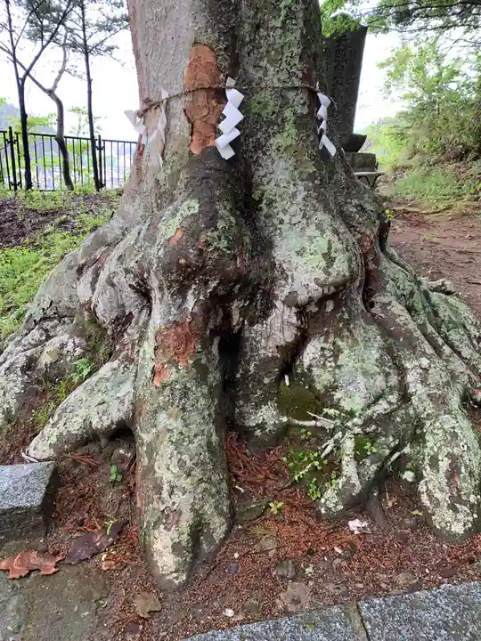 鹽竃神社の自然