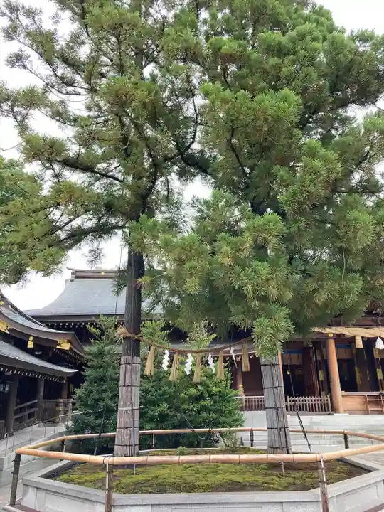 寒川神社の自然