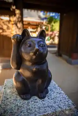 豪徳寺(東京都)