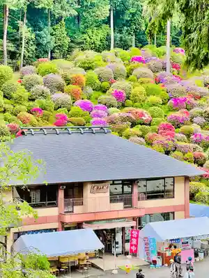 塩船観音寺(東京都)