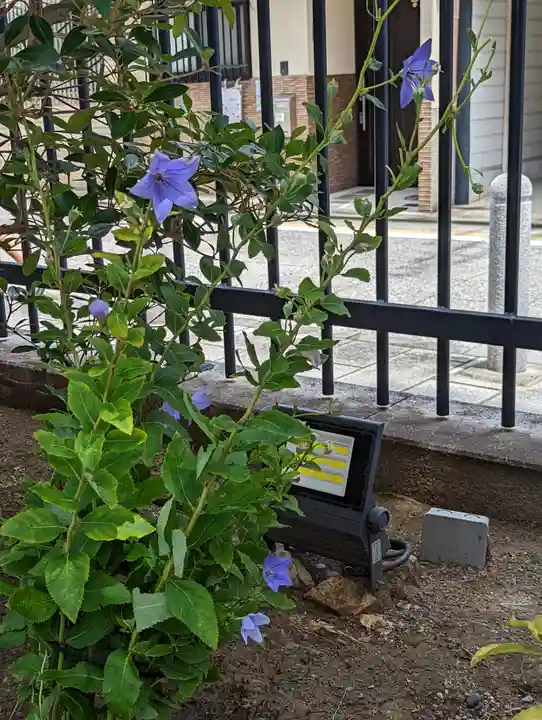 六波羅蜜寺の庭園