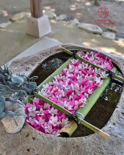 立志神社(滋賀県)