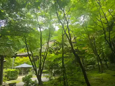 金剛輪寺(滋賀県)