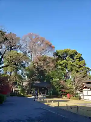 阿佐ヶ谷神明宮(東京都)