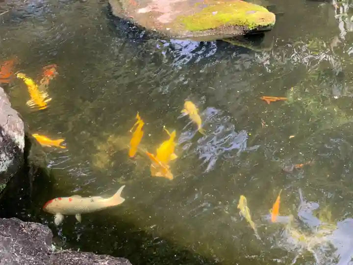 吉備津神社(岡山県)