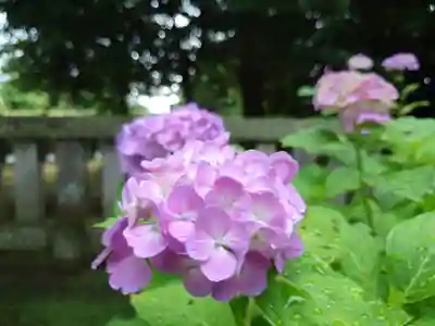 今宮神社(栃木県)
