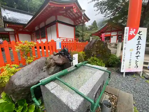 金櫻神社の手水舎