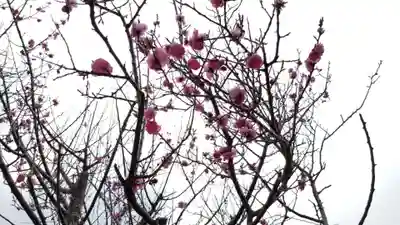 帰厚院(北海道)