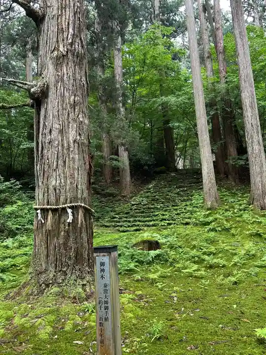平泉寺白山神社(福井県)