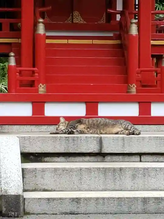 白金氷川神社(東京都)