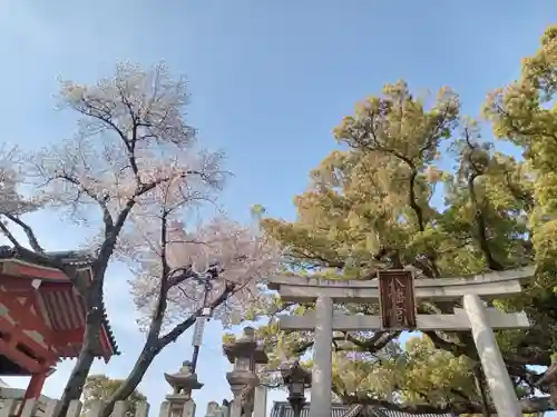 百舌鳥八幡宮の鳥居