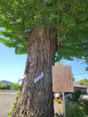 佐佐婆神社(兵庫県)