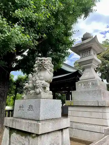 八幡大神社の狛犬