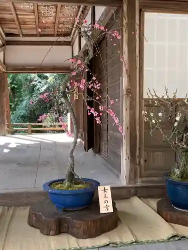 石山寺のその他建物