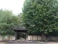妙寿寺の山門・神門