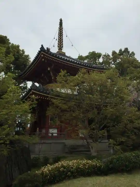 温泉山 安楽寺(四国霊場第六番札所)のその他建物