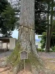 竹生神社(愛知県)