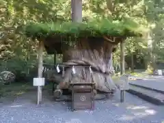 小國神社(静岡県)