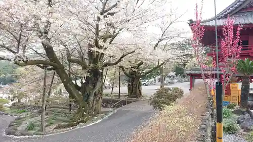 妙松寺のその他建物