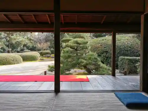 慈光院の{uncategorized: "未分類", other: "その他", undefined: "問題あり", building: "その他建物", grave: "お墓", sacred_gate: "鳥居", guardian: "狛犬", statue: "像", buddha: "仏像", history: "歴史", nature: "自然", garden: "庭園", animal: "動物", pagoda: "塔", temizu: "手水舎", mountain_gate: "山門・神門", sanctuary: "本殿・本堂", subordinate: "末社・摂社", art: "芸術", scenery: "景色", jizo: "地蔵", ema: "絵馬", goshuin: "御朱印", omikuji: "おみくじ", items: "授与品その他", amulet: "お守り", goshuincho: "御朱印帳", eats: "食事", festival: "お祭り", votive_dance: "神楽", shichigosan: "七五三参", wedding: "結婚式", experience: "体験その他", initially: "初詣", around: "周辺", anti_infection: "感染症対策"}