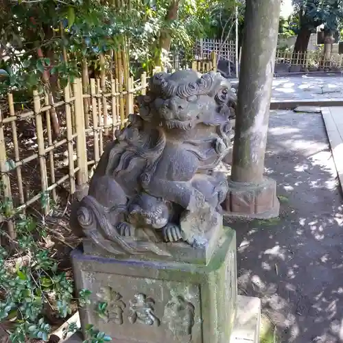 渋谷氷川神社の狛犬