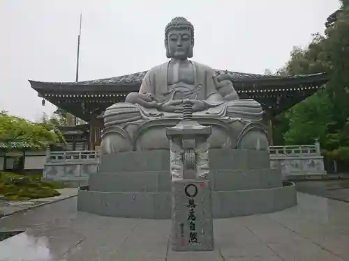 御誕生寺（猫寺）の仏像