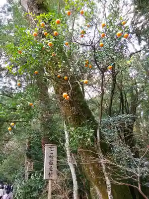 伊勢神宮内宮（皇大神宮）(三重県)