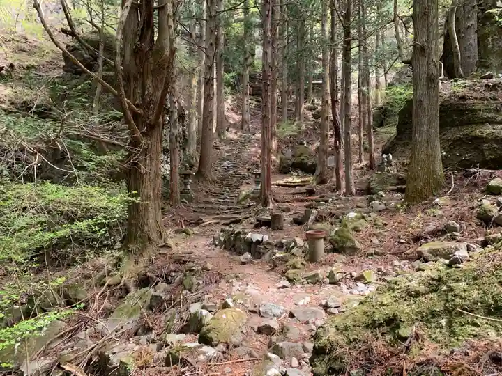 深草岩屋観音堂(深草山瑞岩寺奥院)の自然