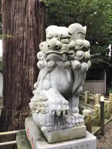 艫神社の狛犬