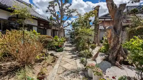萬福寺(京都府)