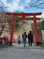 天開稲荷社の鳥居