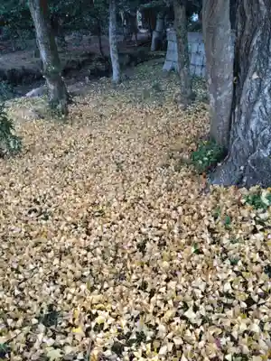 奥石神社(滋賀県)
