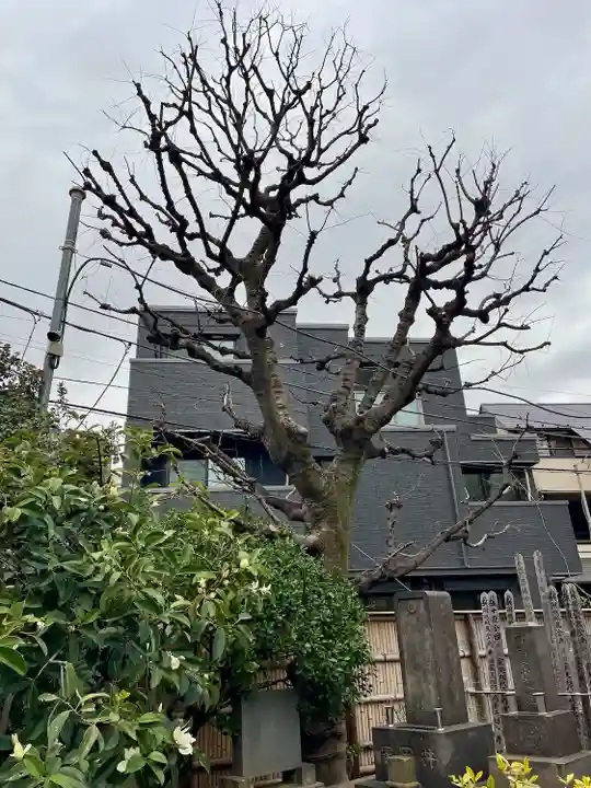 定泉寺(東京都)
