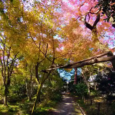 十輪寺(京都府)