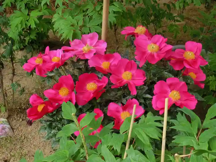 當麻寺 奥院(奈良県)