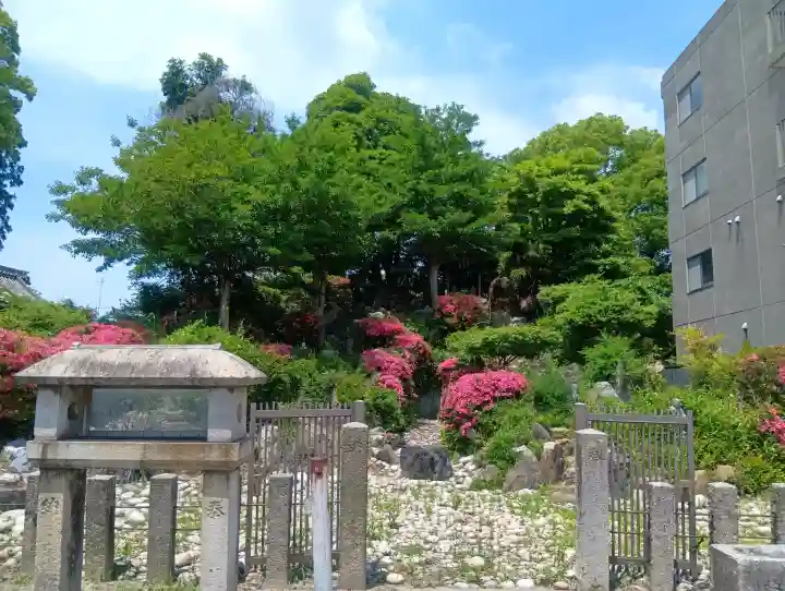 萬徳寺の{uncategorized: "未分類", other: "その他", undefined: "問題あり", building: "その他建物", grave: "お墓", sacred_gate: "鳥居", guardian: "狛犬", statue: "像", buddha: "仏像", history: "歴史", nature: "自然", garden: "庭園", animal: "動物", pagoda: "塔", temizu: "手水舎", mountain_gate: "山門・神門", sanctuary: "本殿・本堂", subordinate: "末社・摂社", art: "芸術", scenery: "景色", jizo: "地蔵", ema: "絵馬", goshuin: "御朱印", omikuji: "おみくじ", items: "授与品その他", amulet: "お守り", goshuincho: "御朱印帳", eats: "食事", festival: "お祭り", votive_dance: "神楽", shichigosan: "七五三参", wedding: "結婚式", experience: "体験その他", initially: "初詣", around: "周辺", anti_infection: "感染症対策"}