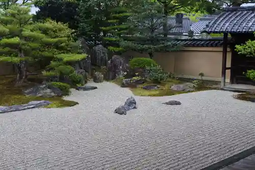 大徳寺の庭園