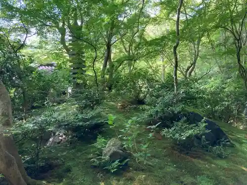 光明寺瑠璃光院(京都府)