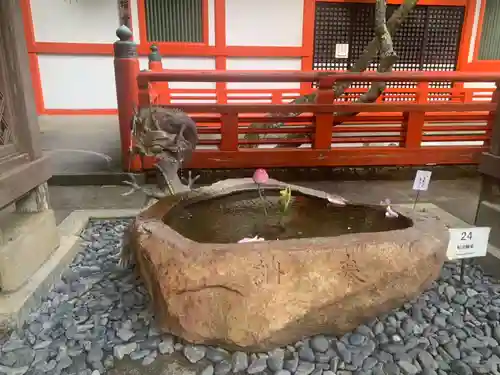 鞍馬寺の手水舎